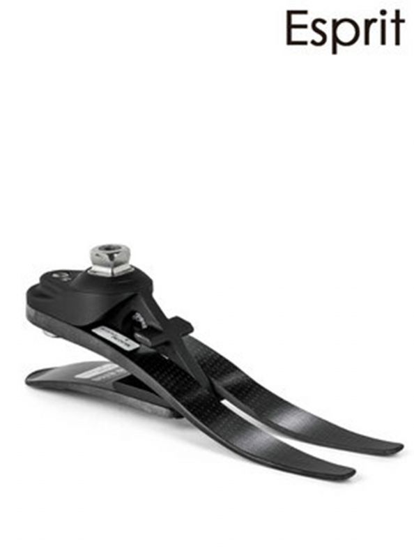Esprit-
