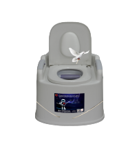 Mobile smart toilet