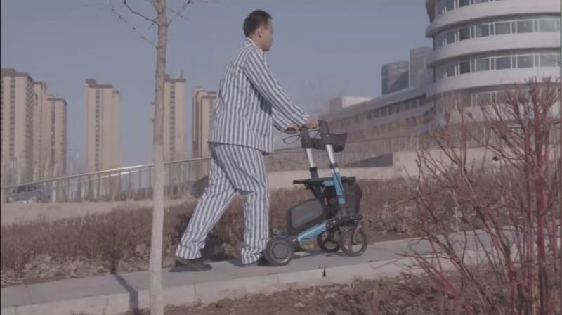 Walking Aid Robot-