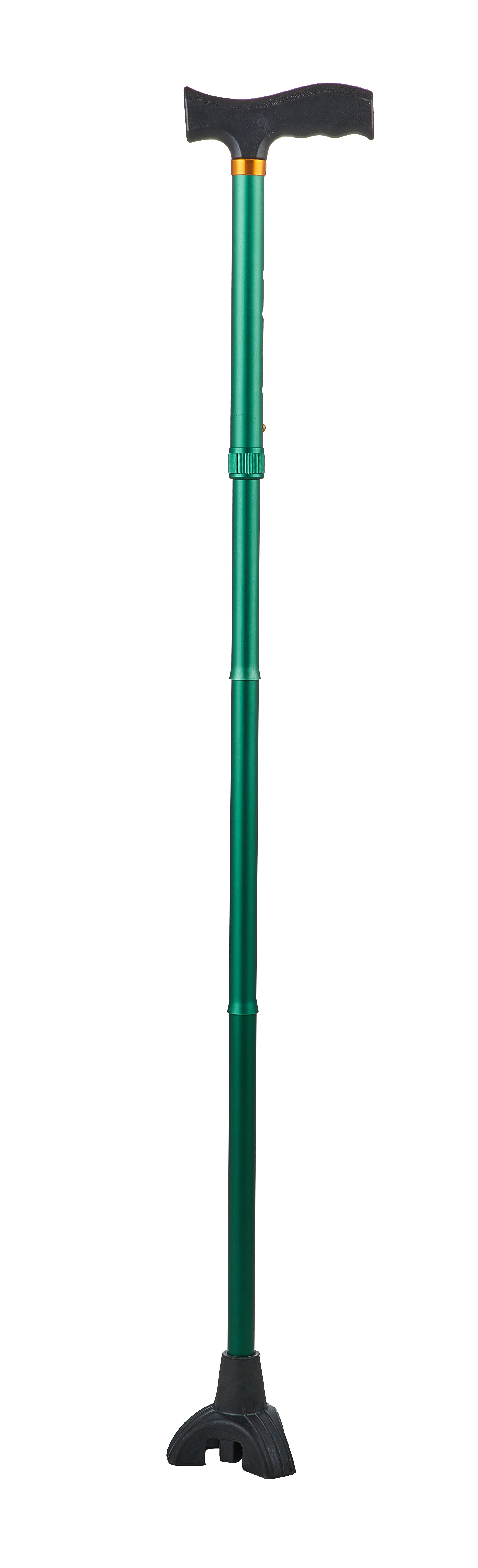 Cane