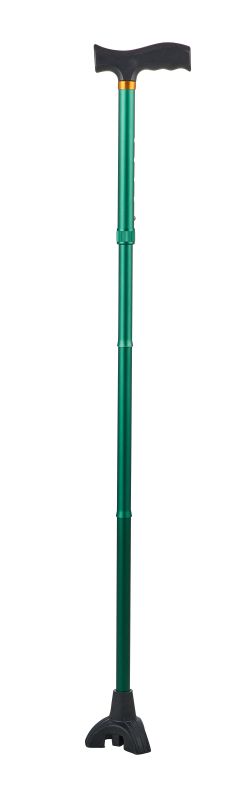 Cane-