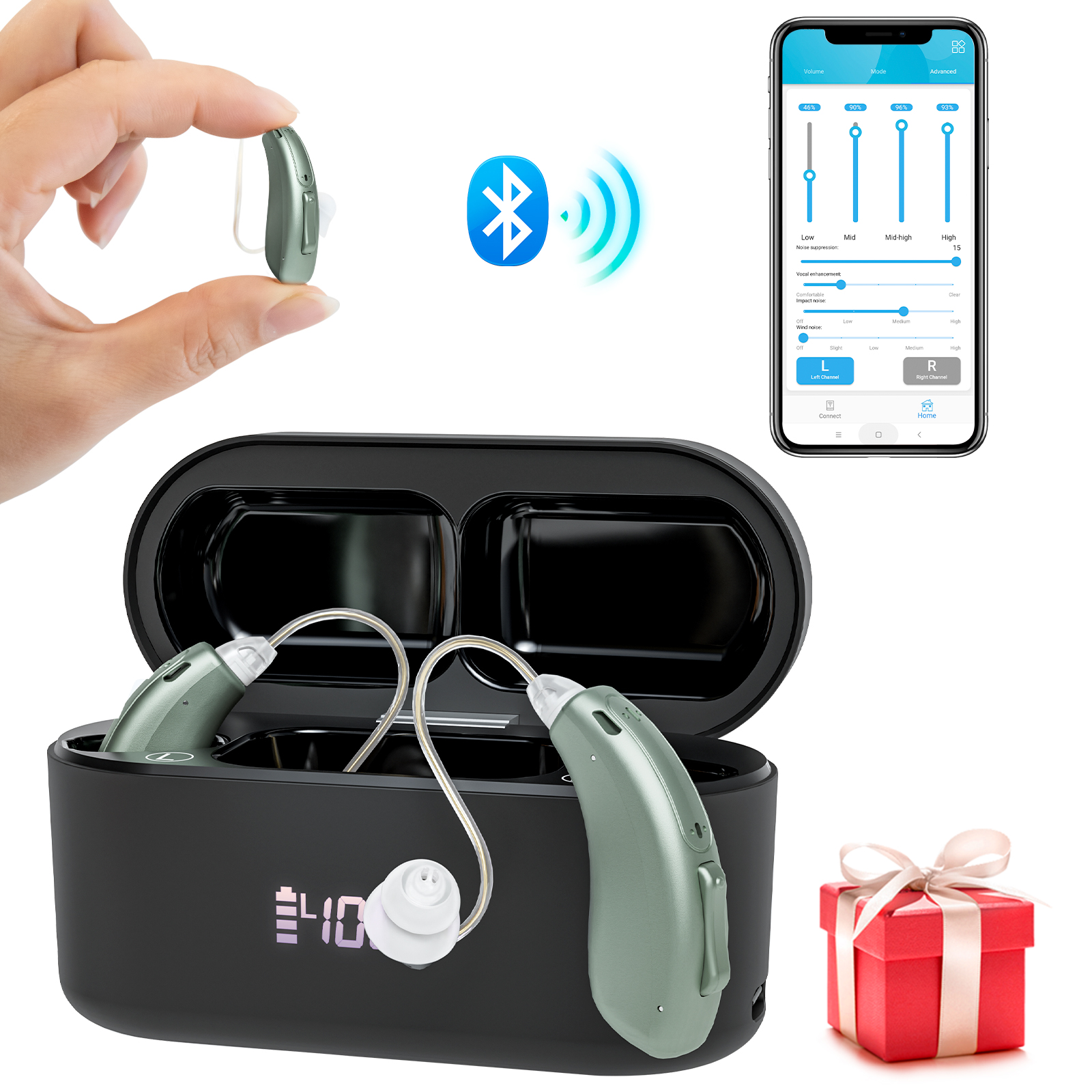 Hearing aid-5118L