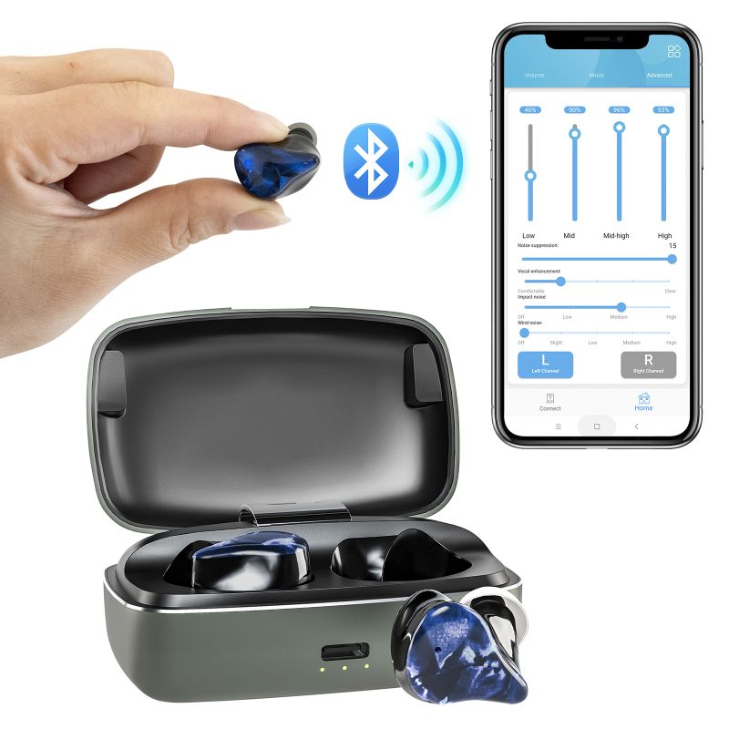 Hearing aid-816TE-