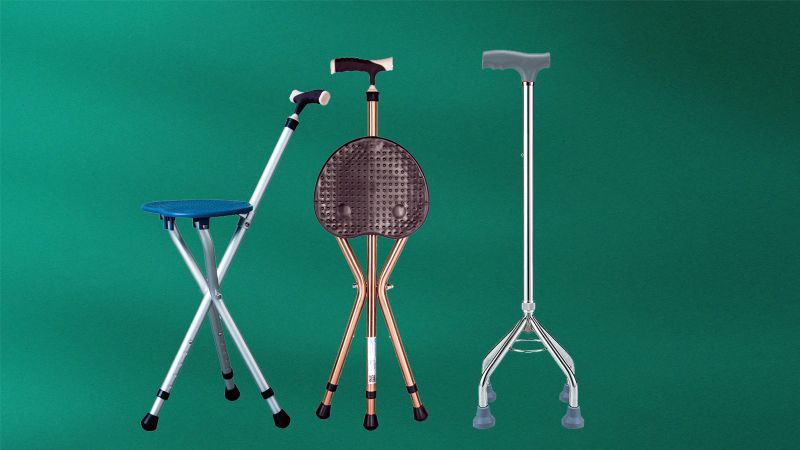 Walking stick-