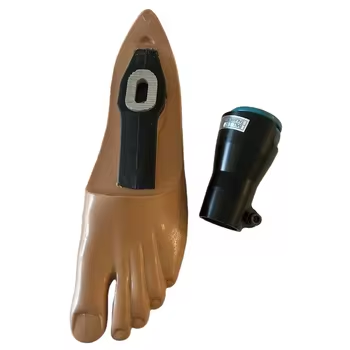 multi-axis foot