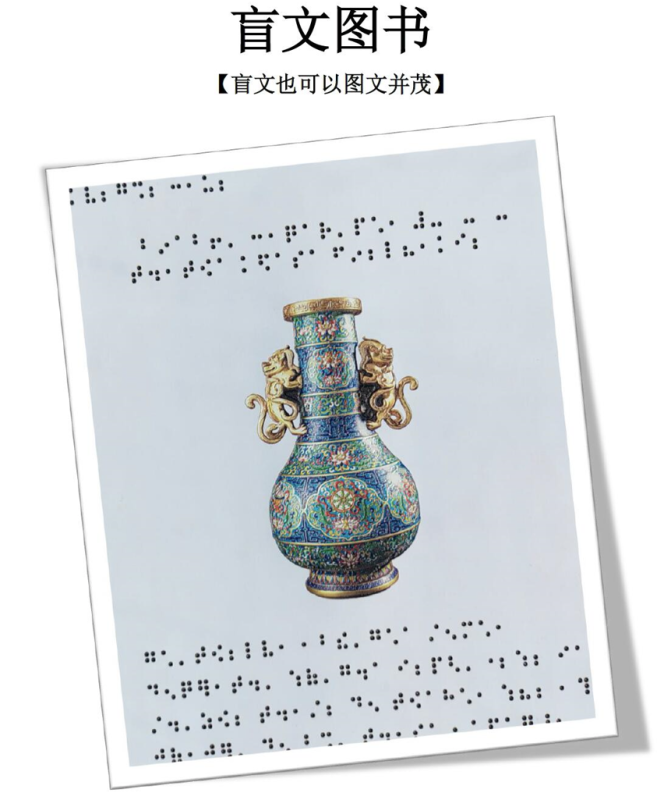 盲文圖書(shū)-