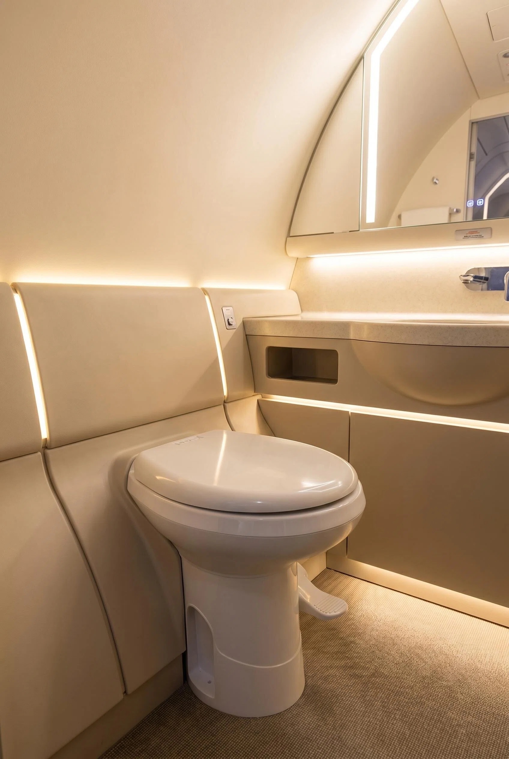 Gravity Flush Toilet