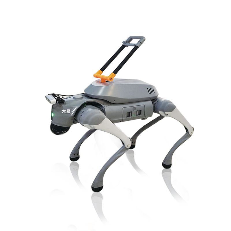 Dayi Guide Robot Dog 2.0-